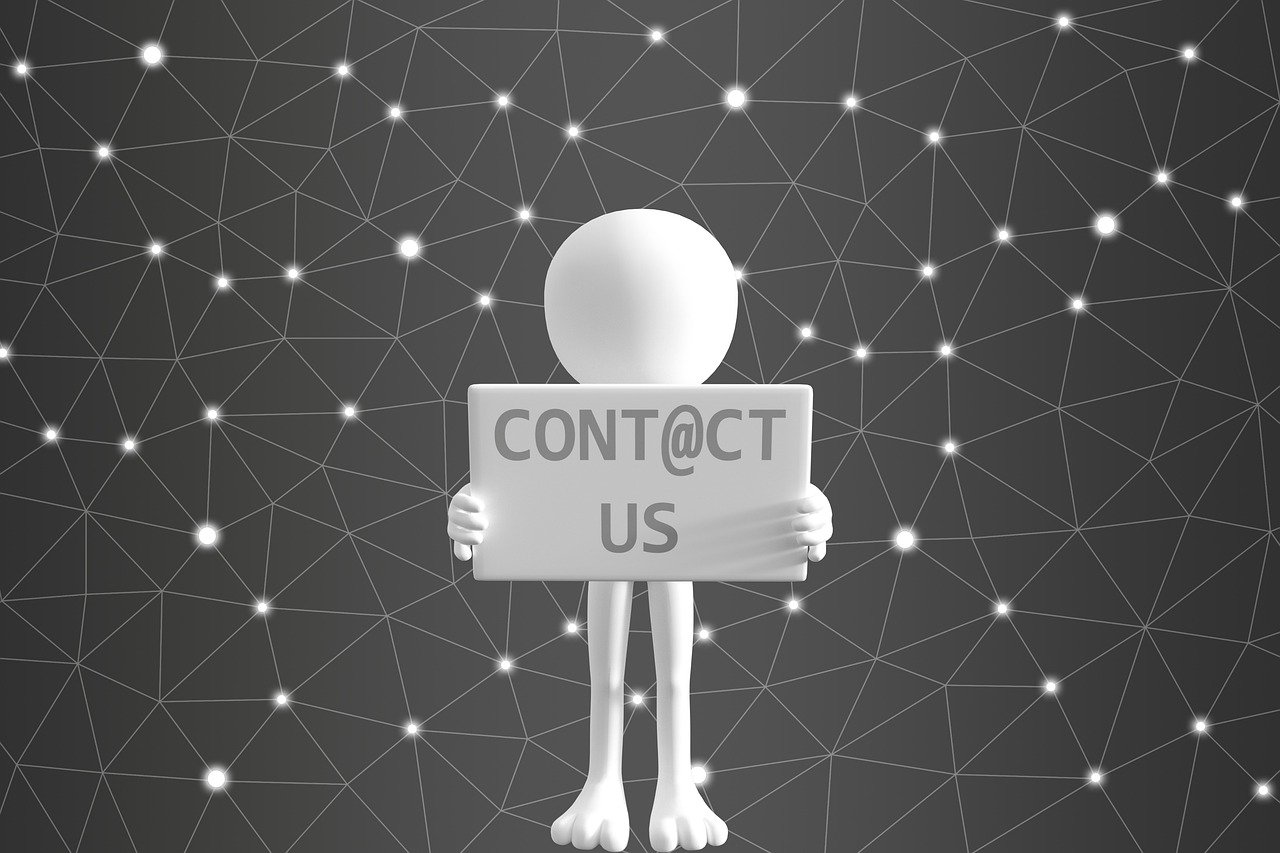 探寻流氓燕的最新联系信息，最新动态揭秘