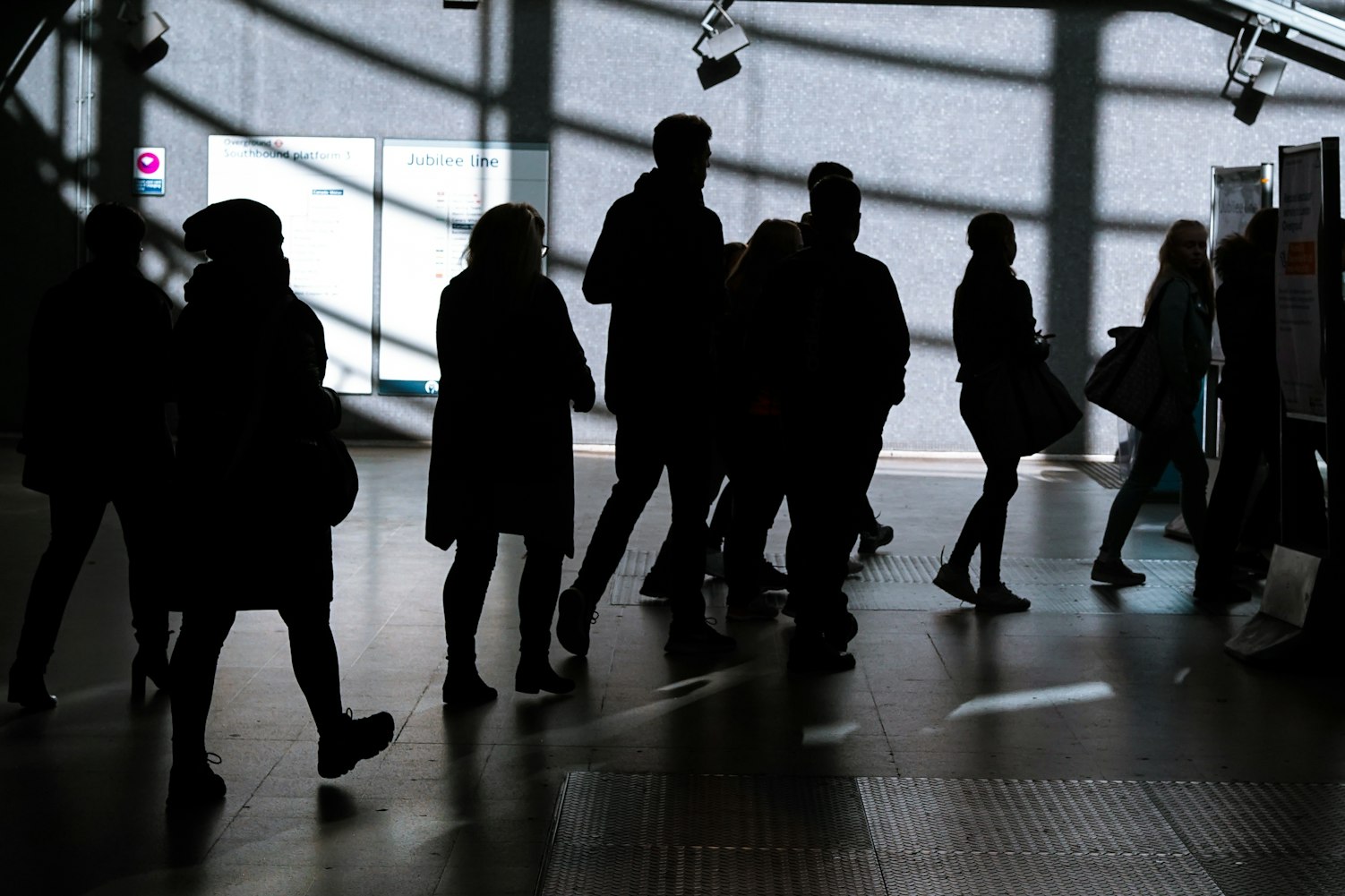 探索现代电影的新领域与魅力，近期的电影动态与魅力展示