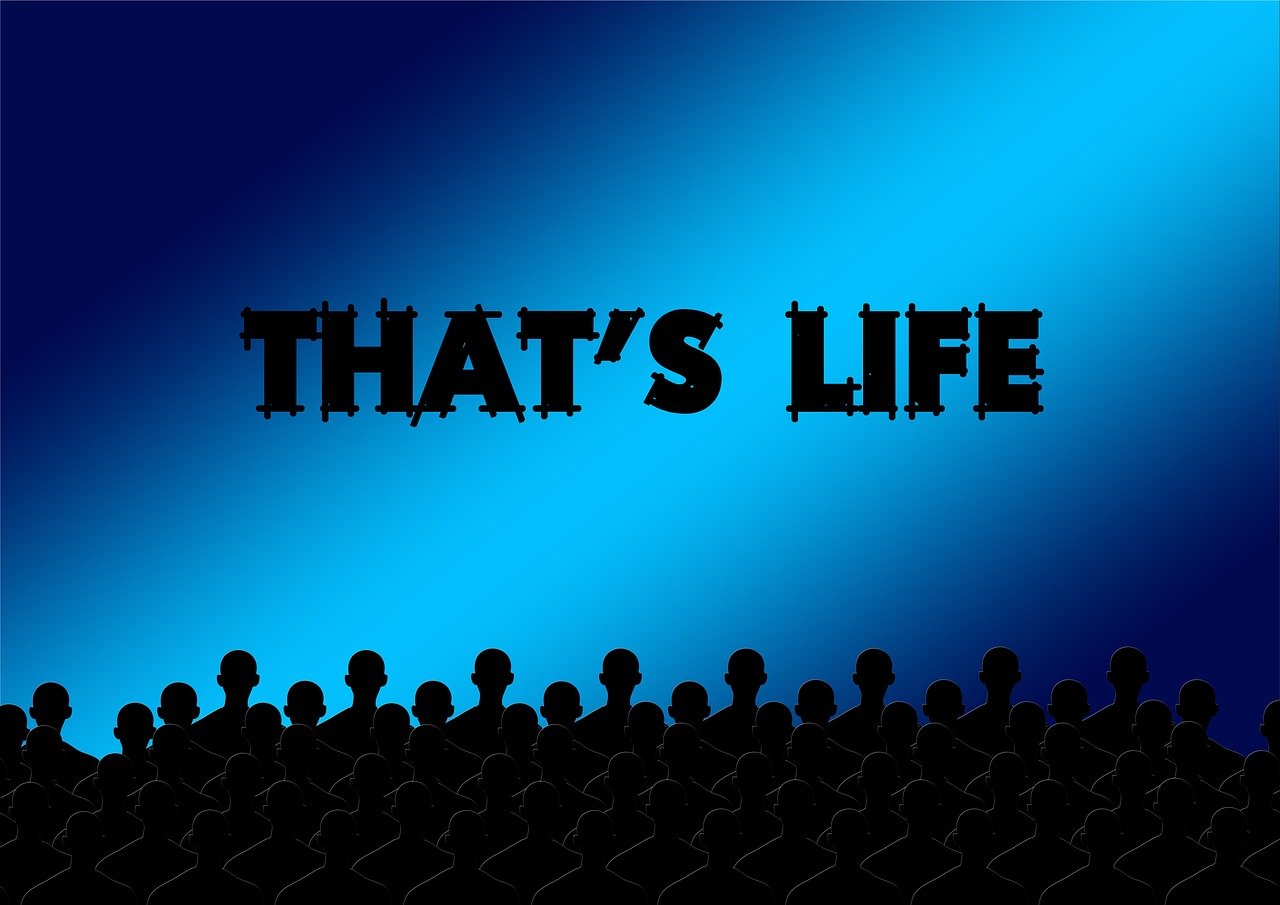 数字时代的影视娱乐新体验，手机免费看电影的乐趣