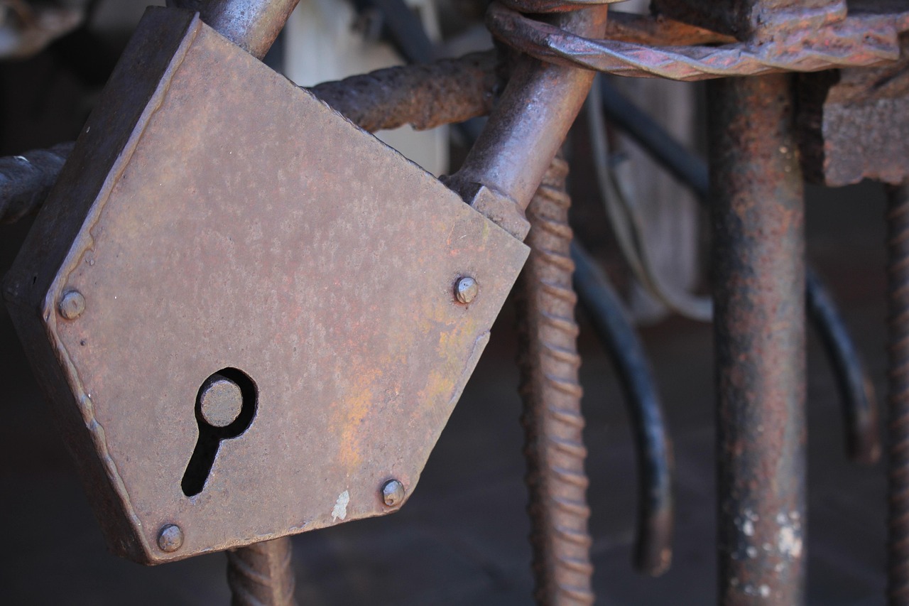 广东宏运男篮蓄势待发，展现新时代风采与最新动态