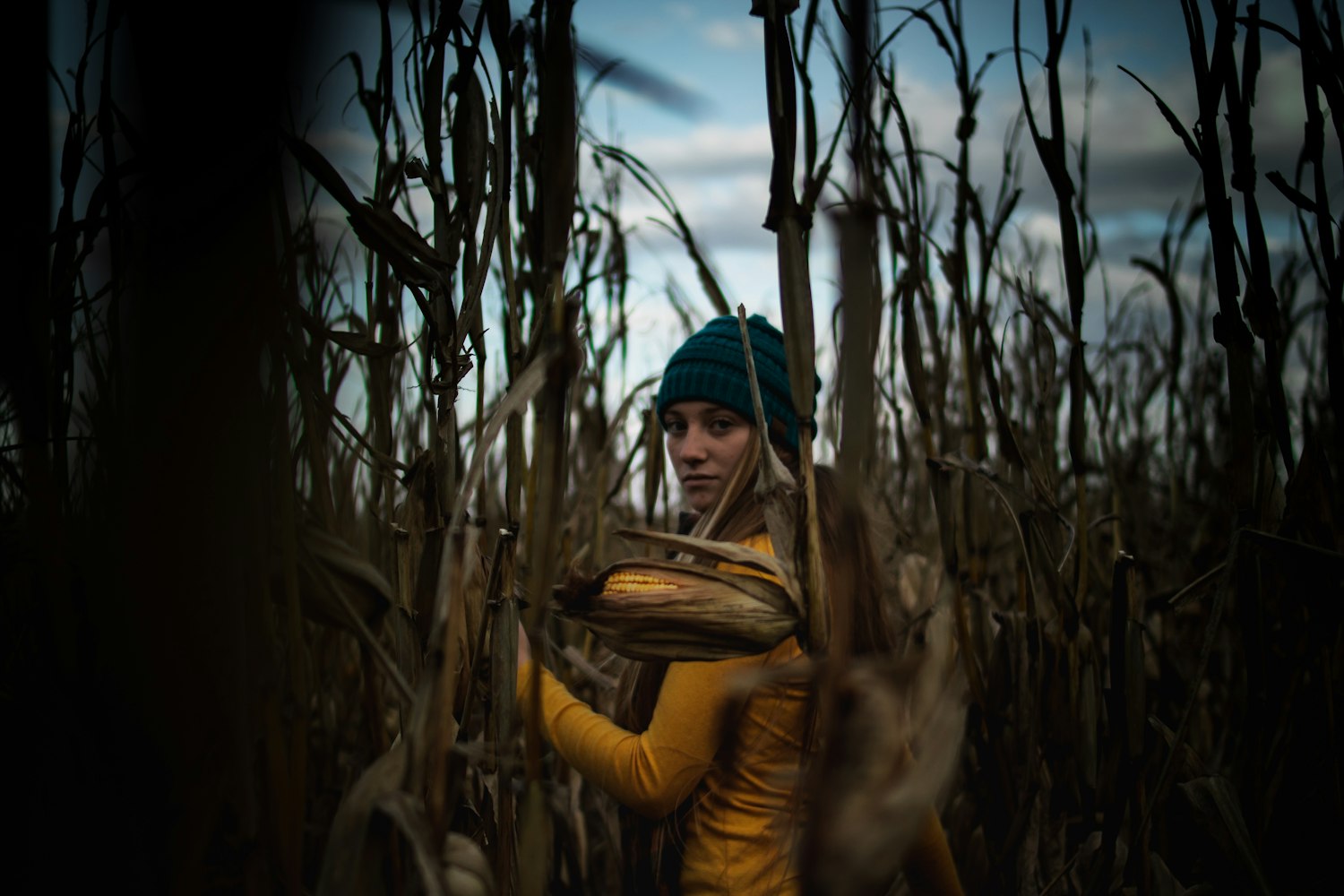 韩国限制级电影的极致魅力深度探索，成人影视的顶级推荐