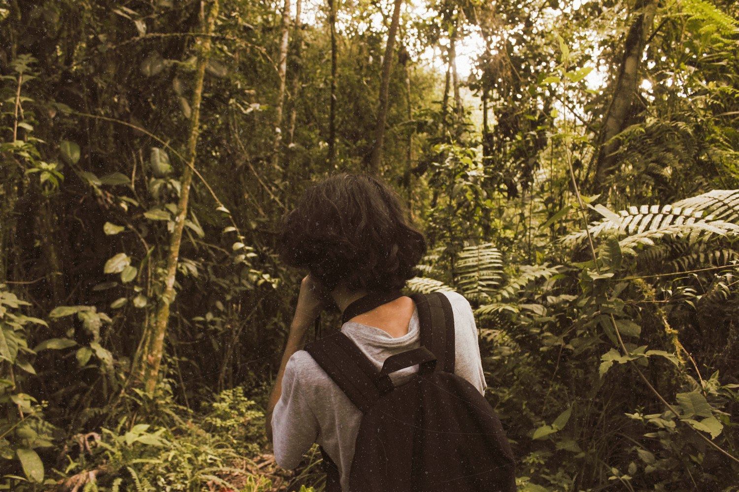 最新男男剧集探索与发现之旅