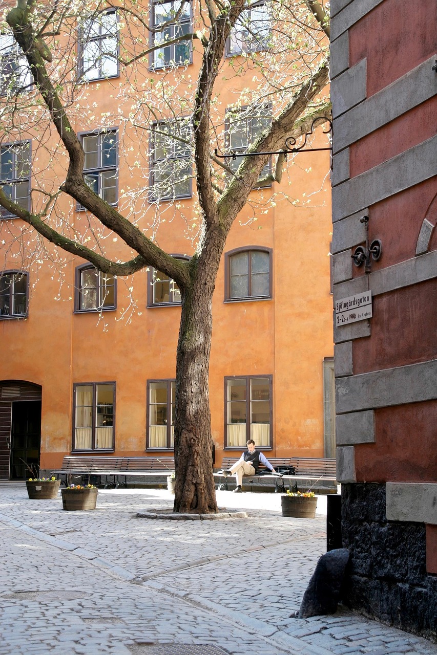 郎源水库最新动态，建设进展、环境影响与未来展望全解析