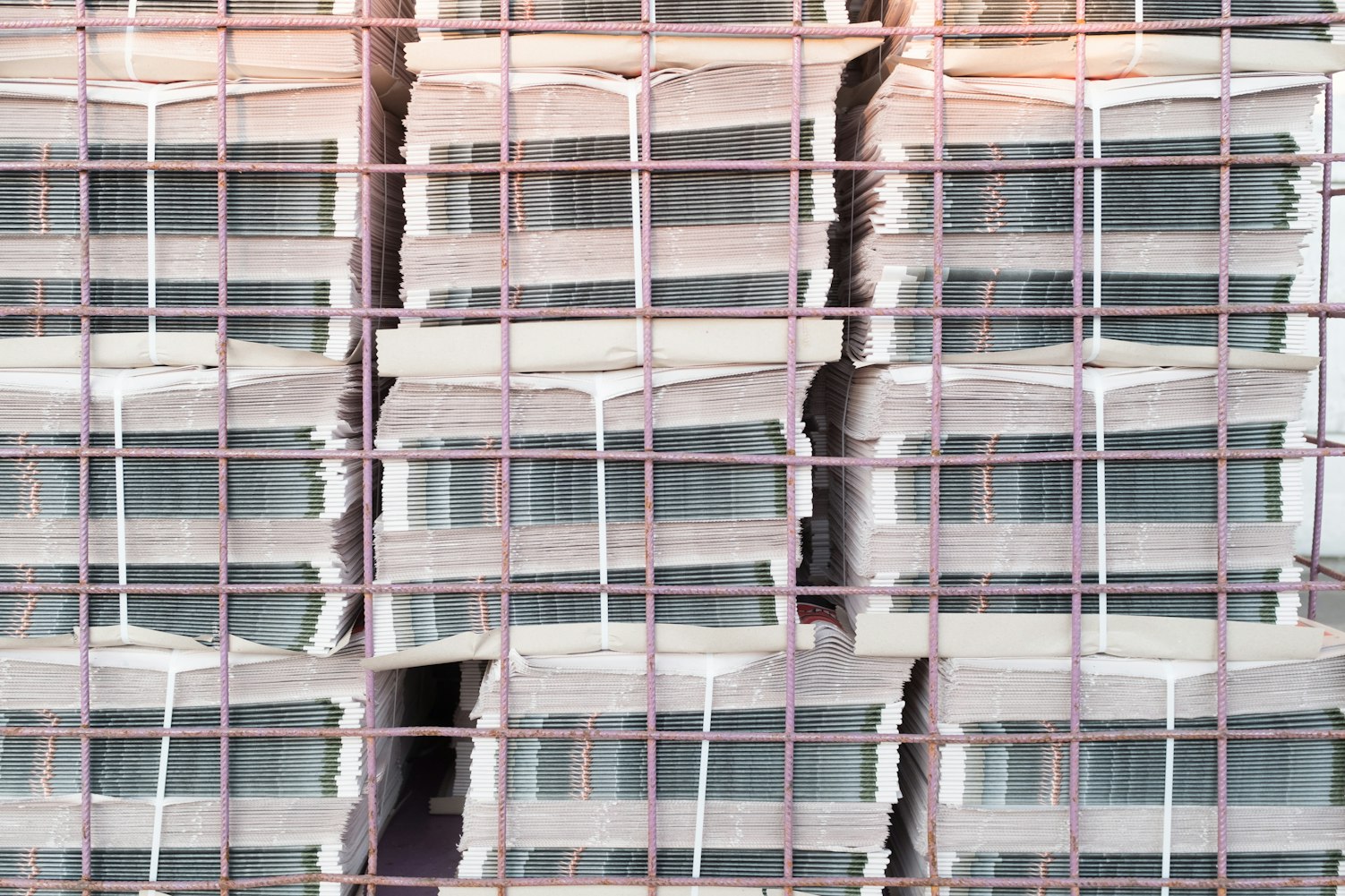 正定最新新闻动态速递