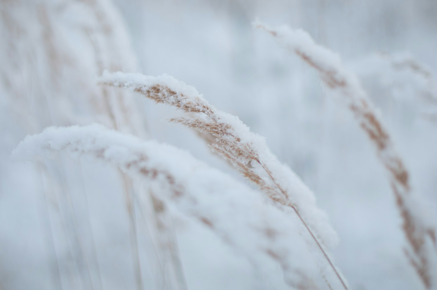 揭秘七十二层奇楼最新进展,建筑奇迹的最新动态
