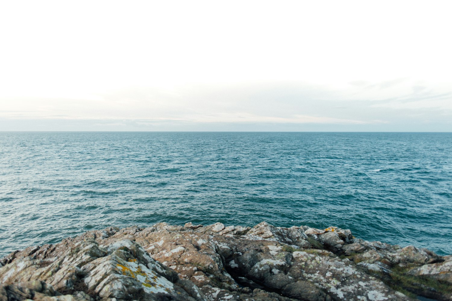 最新捕鱼攻略指南,探索未知海域,掌握捕鱼技巧(XXXX年捕鱼攻略)