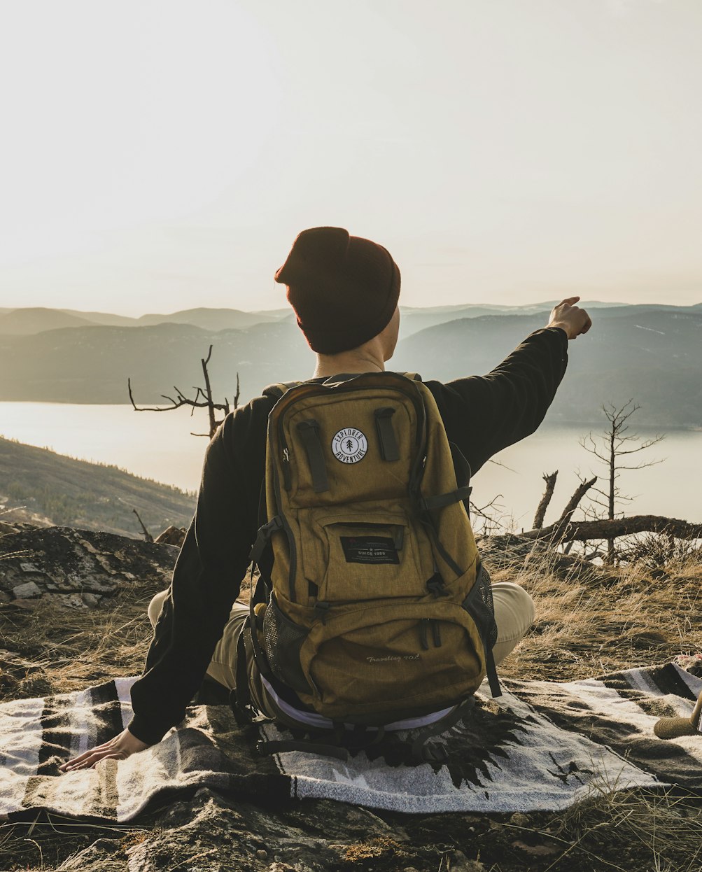和讯黄金行情走势图解析,市场动态与趋势深度解读