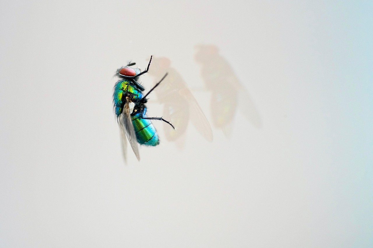 天天炫斗破解版最新版,游戏玩家的福音