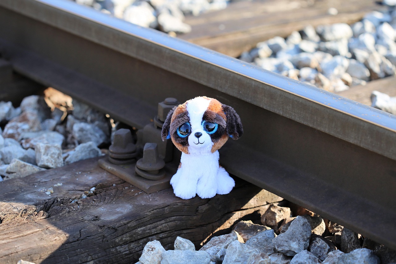 蒙华铁路平江段最新进展报告，揭示最新动态与成果！