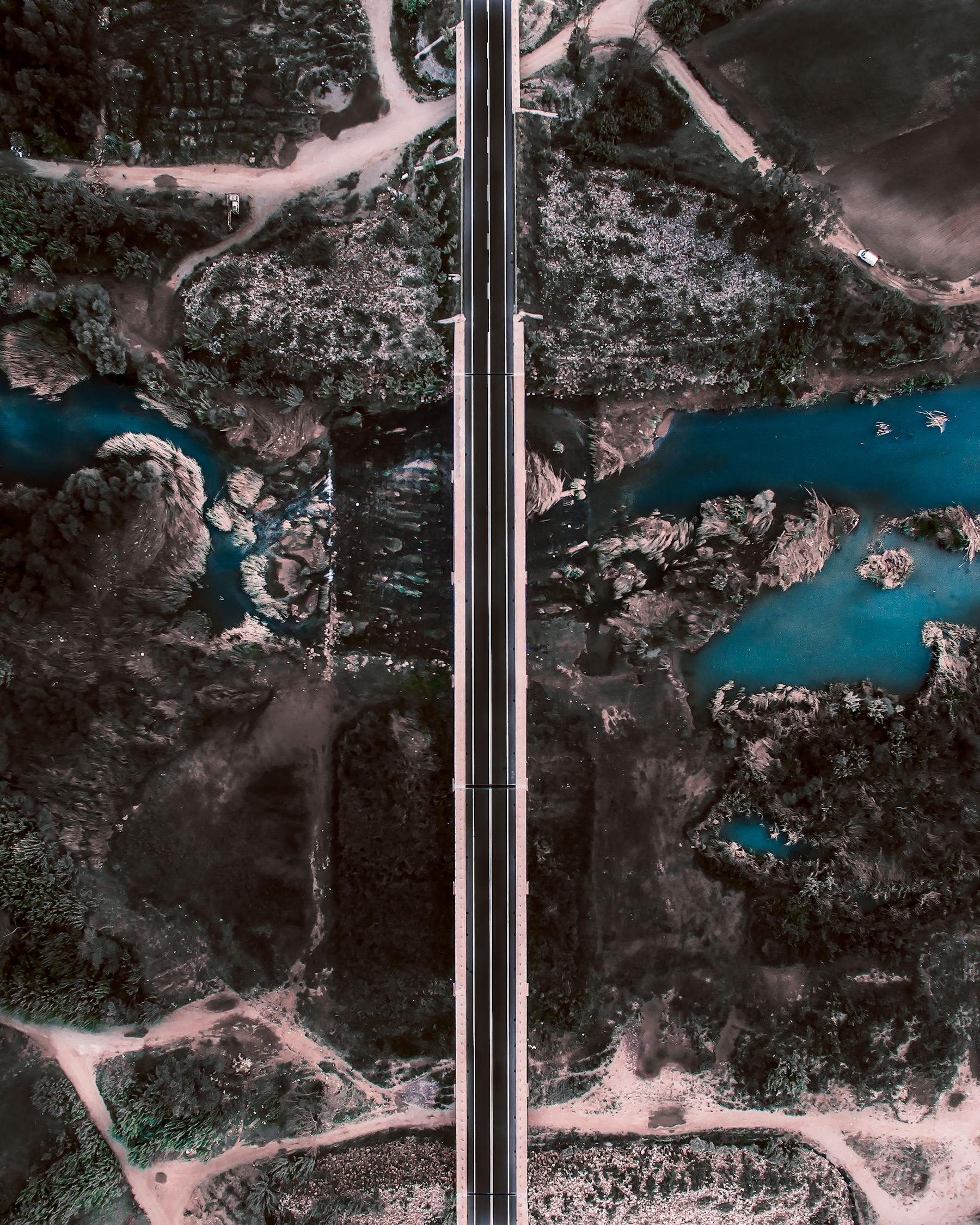 公子千秋，英雄崛起与命运转折的最新章节