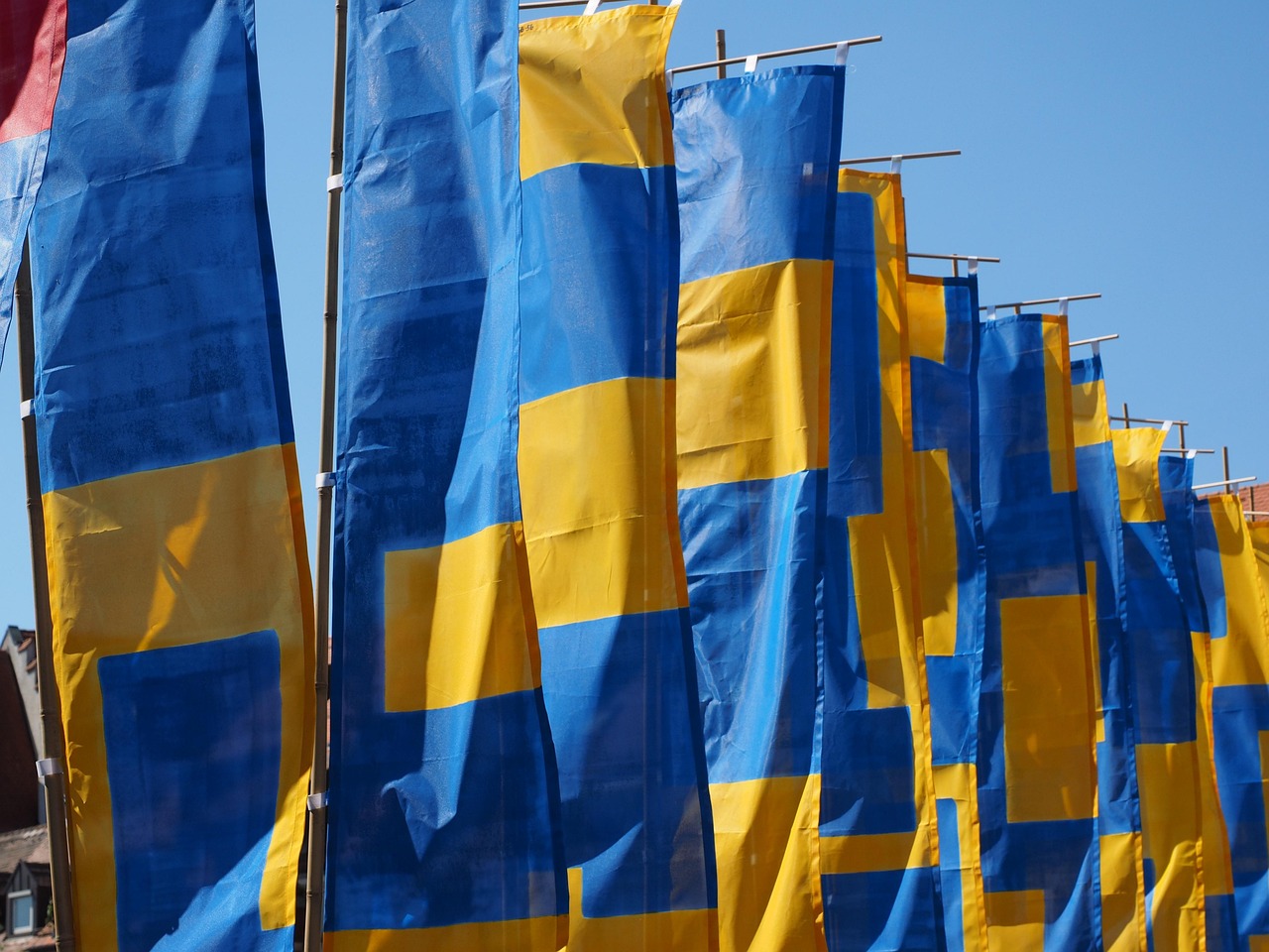 青岛最新资讯概览,时事动态一网打尽