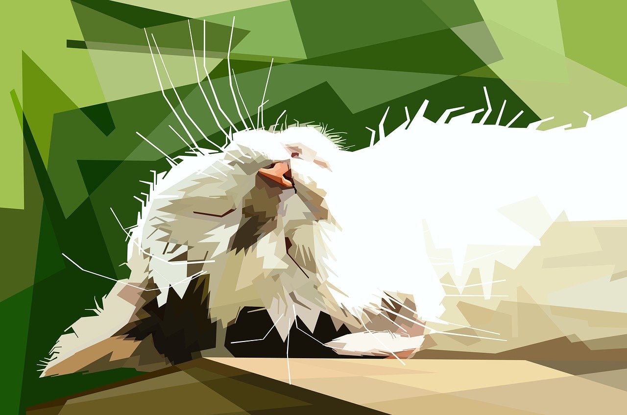 猫咪最新版,时尚与实用的完美融合