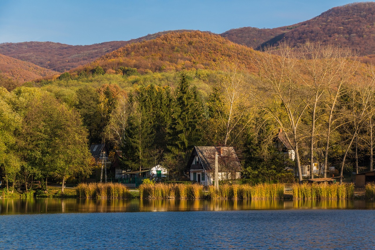 山东临沂废铜最新报价及动态分析