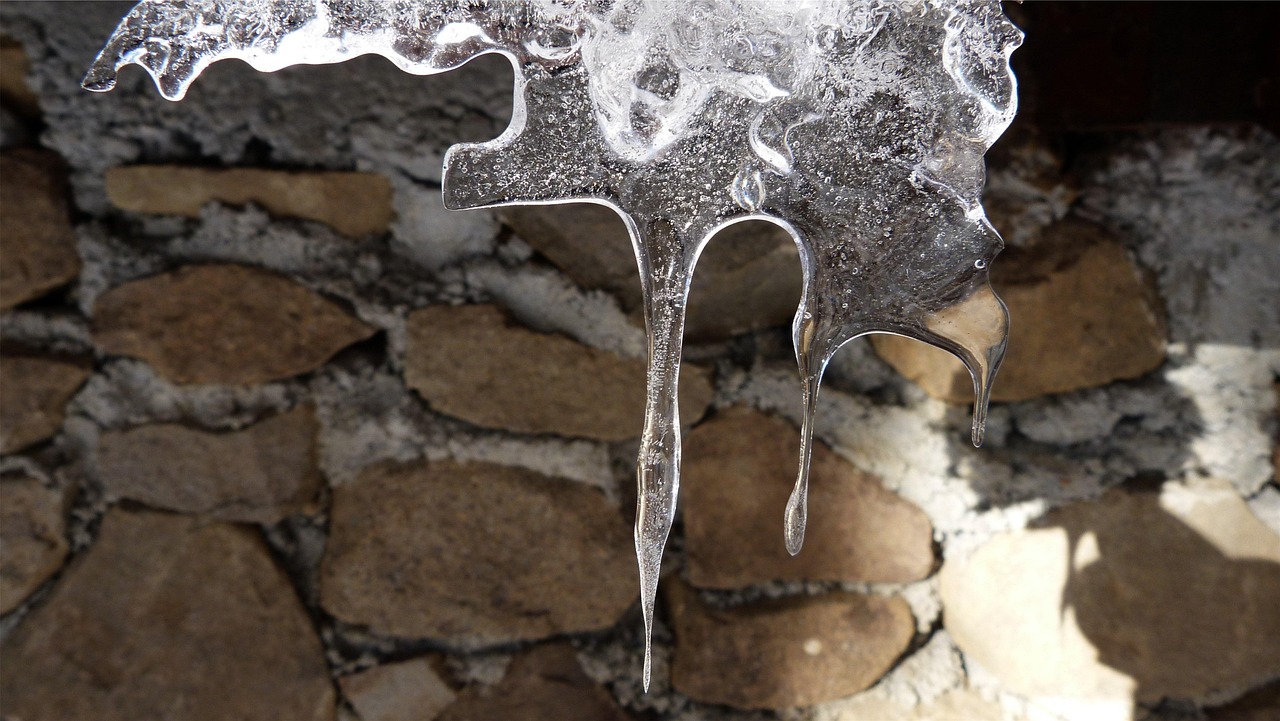 肇东最新资讯概览,最新动态与资讯汇总