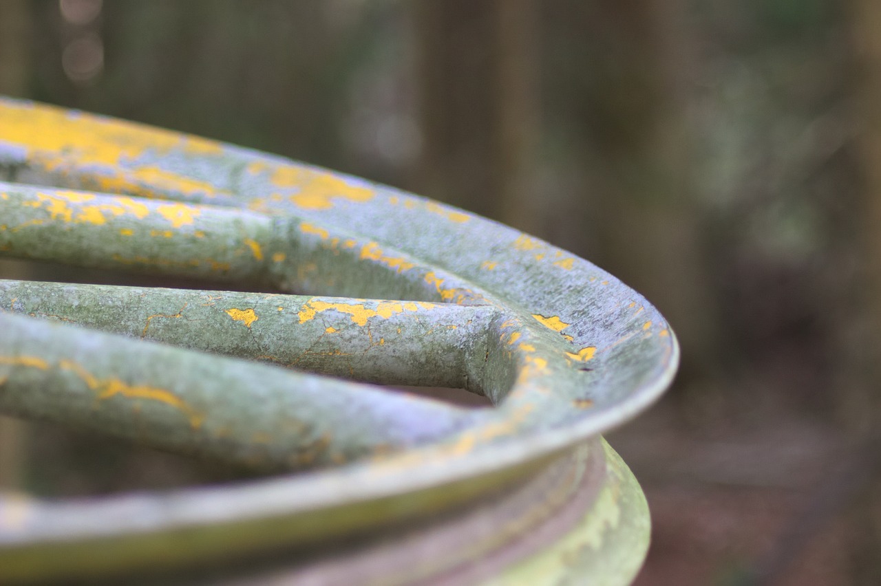 国内快讯,聚焦时事热点,洞悉发展动态最新消息