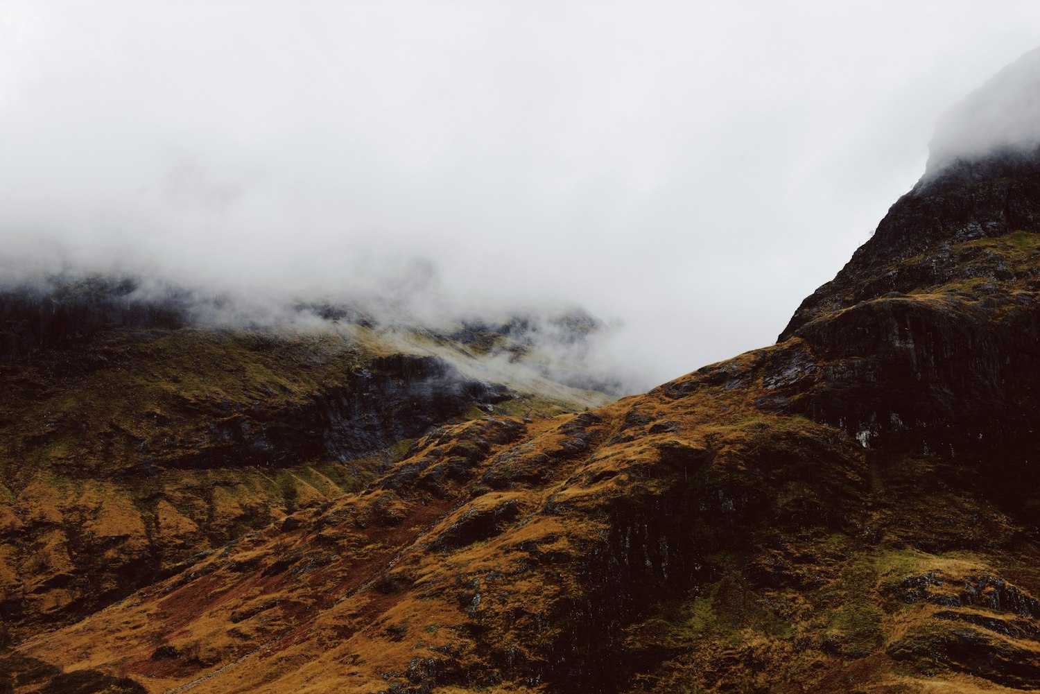 淄博碧桂园最新动态更新速递