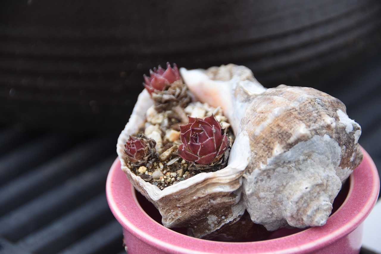 西安高陵最新资讯概览，最新动态与资讯一网打尽！