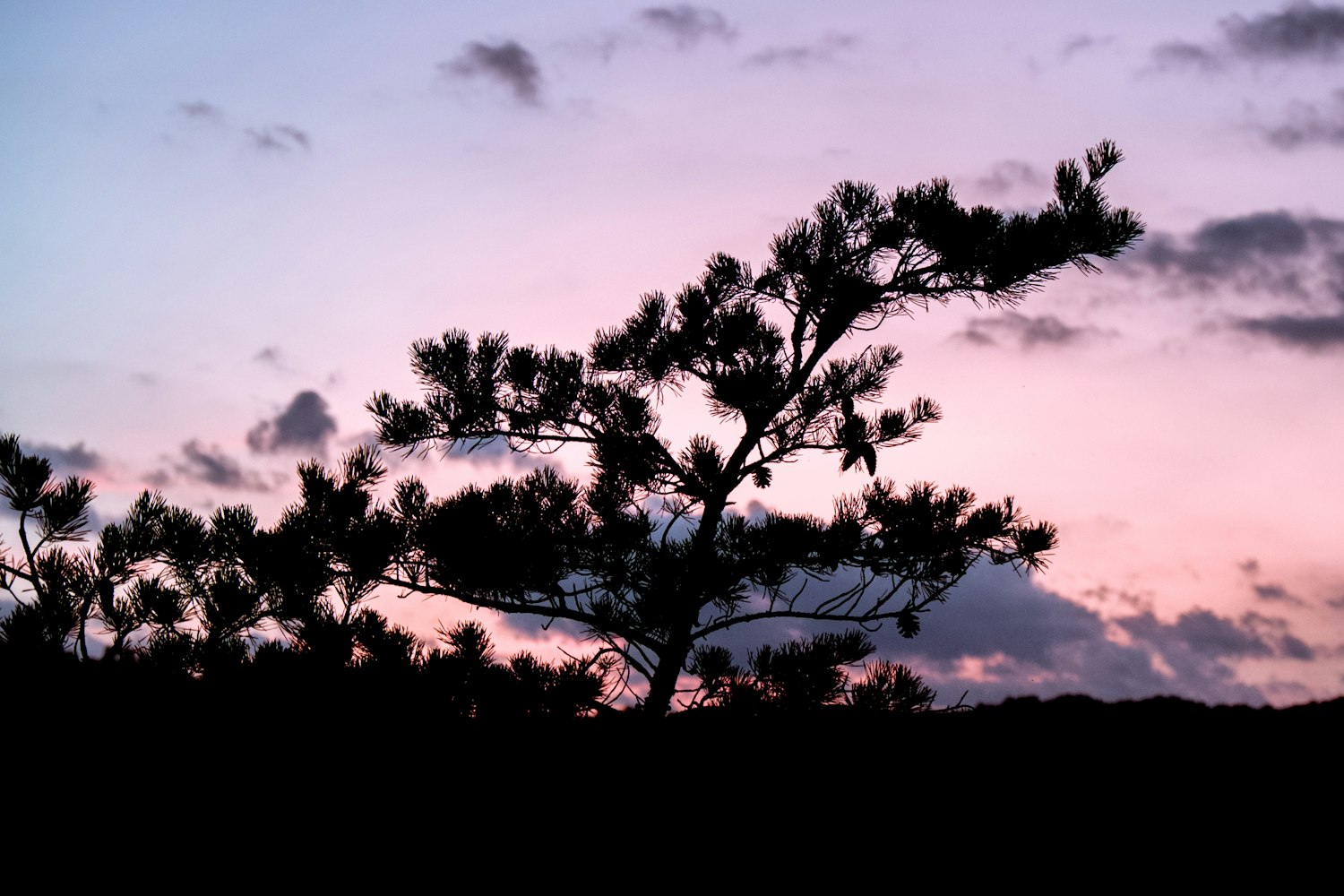 二次元浪漫之旅,动漫男生情侣头像探索