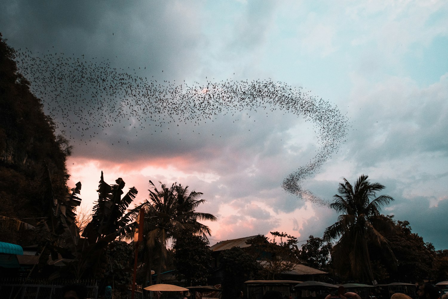 白发动漫头像的魅力,从虚拟世界到现实生活的时尚潮流探索