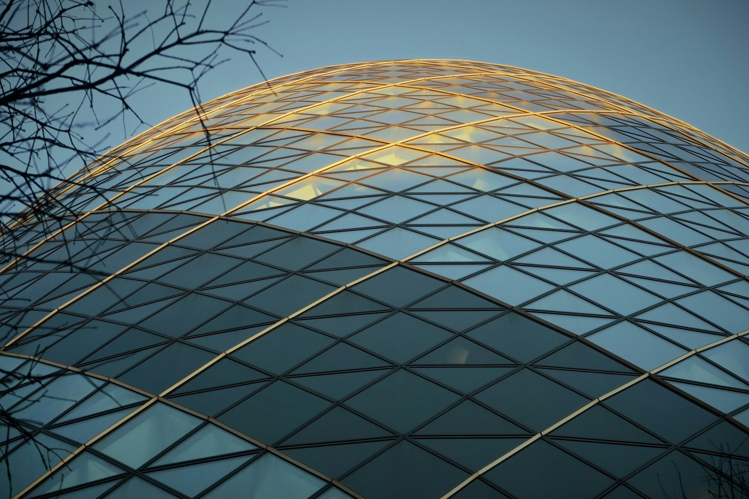 最新素材合集，探索创新前沿，领略领域新风貌