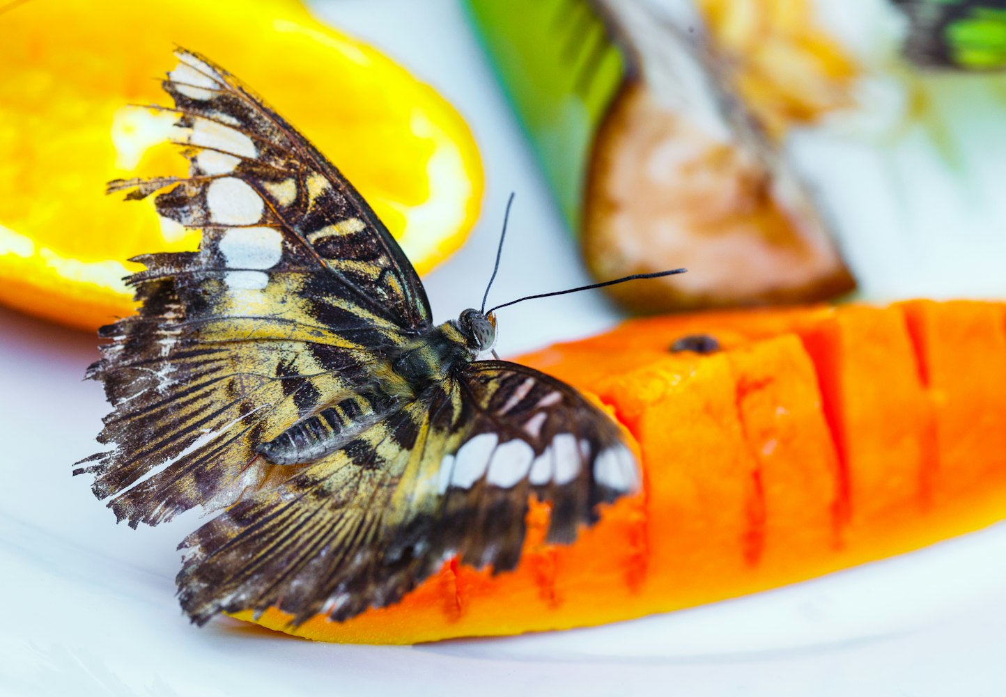 巴萨热血激战展现王者风采，最新比赛动态与赛事回顾