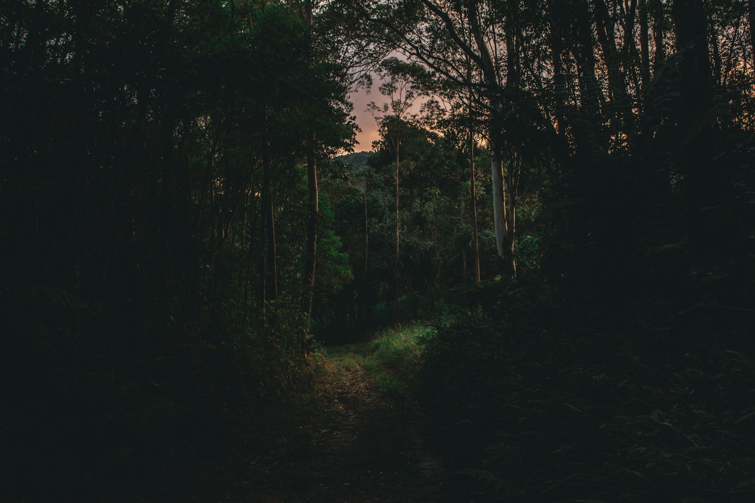 惊天动地盗墓电视剧,探险之旅的悬念与视觉盛宴
