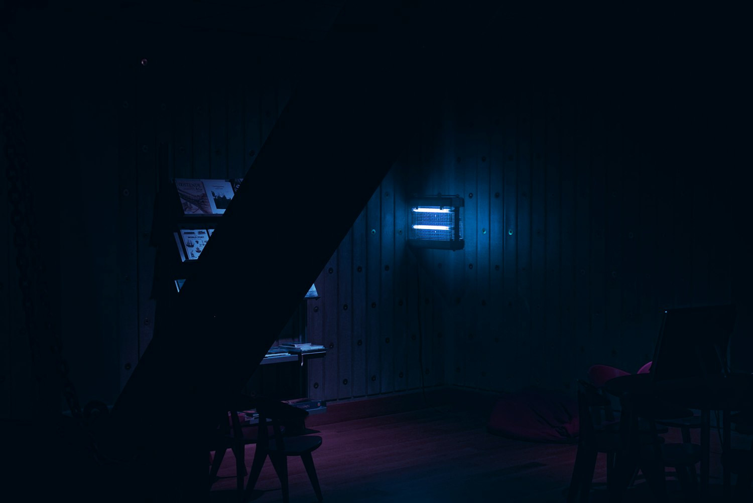 81年明星，历史璀璨星辰的闪耀者