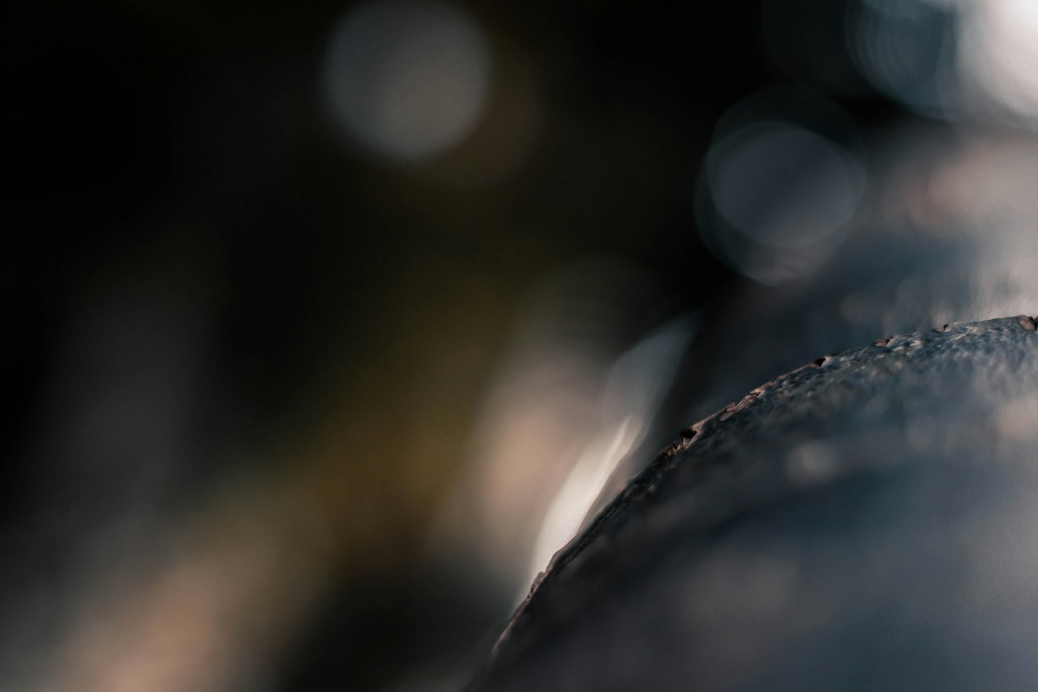 动态27期深度解读,科技、经济、社会三大领域的最新资讯与深度分析