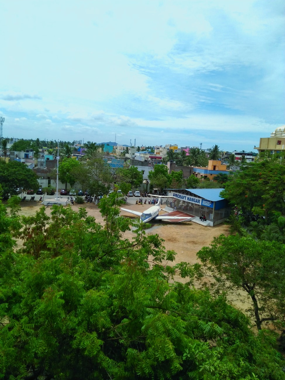 肺部感染最新动态与研究进展概览