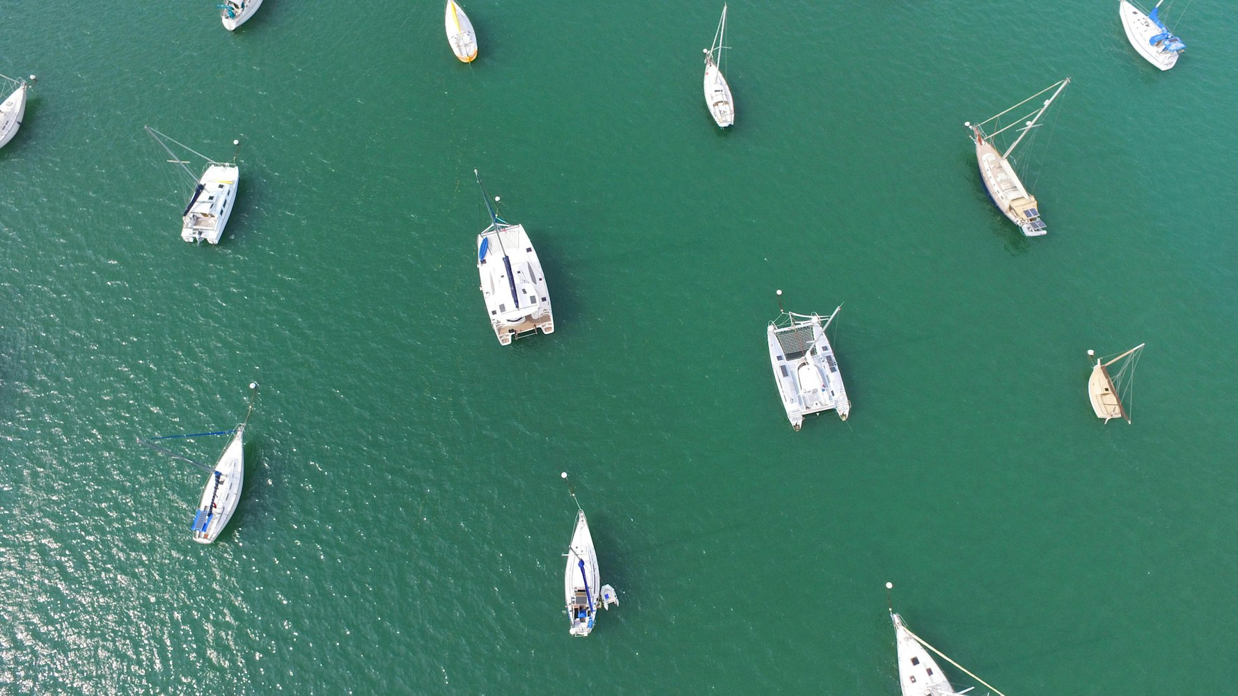 探索高效捕鱼新方法，最新捕鱼技巧分享