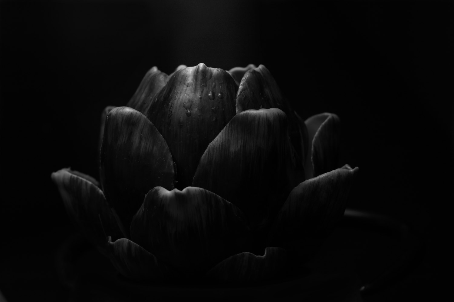 上海青浦最新动态,城市发展的脉搏与生活色彩同步更新