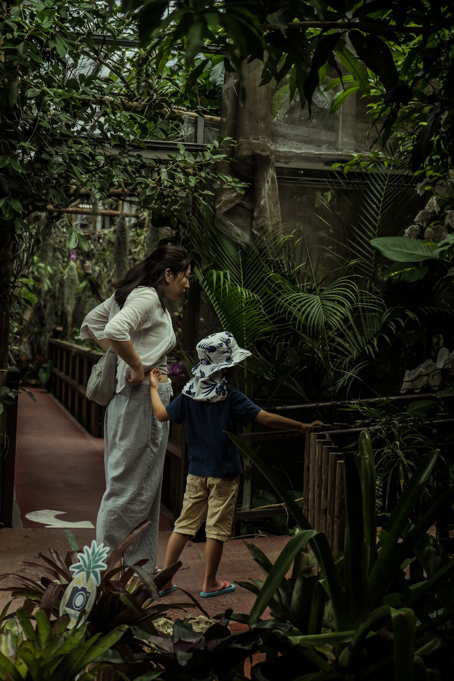 生活的诗意体验,漫漫看电视剧之旅